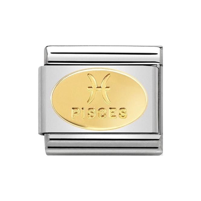 Pisces Birthstone Stainless steel Nomination link with 18k gold oval engraved with 'Pisces' and zodiac symbol