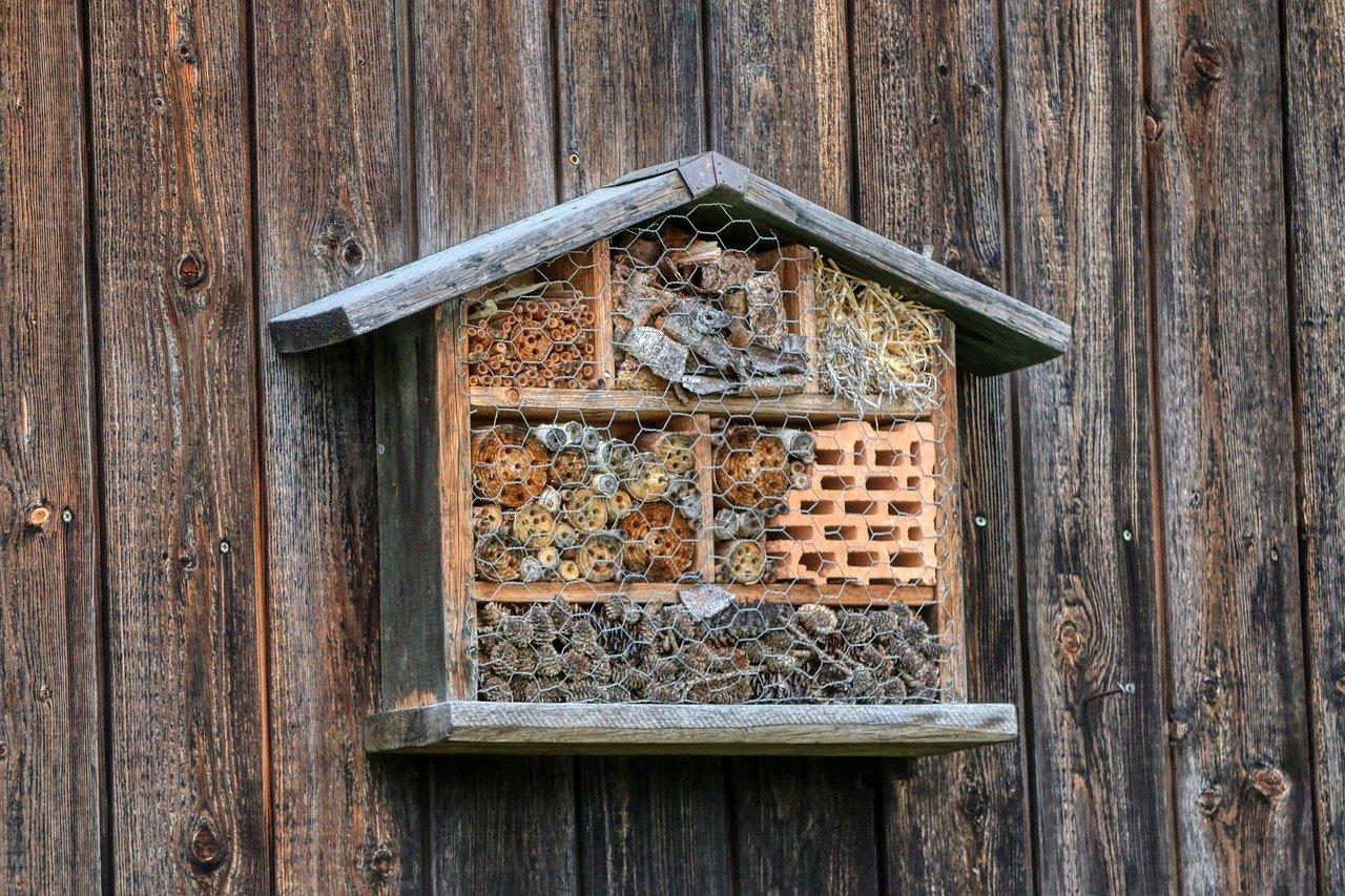 World Bee Day 2021 Bee Hive on Wooden Wall